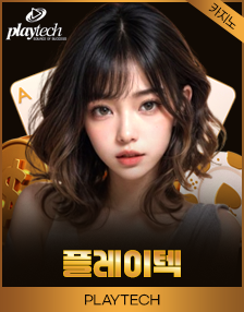 플레이텍