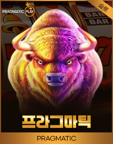 프라그마틱 플레이